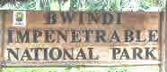 Bwindi Impenetrable